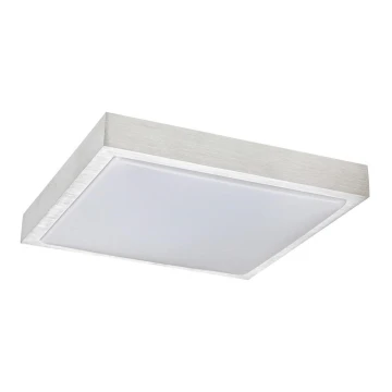 Rabalux - LED lubinis šviestuvas LED/24W/230V