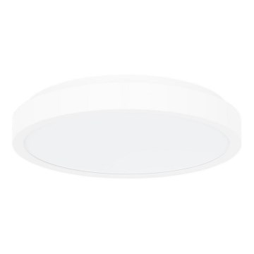 Rabalux - LED lubinis vonios šviestuvas LED/48W/230V IP44 4000K diametras 42 cm balta