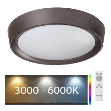 Rabalux - LED RGB Reguliuojamas lubinis šviestuvas LED/24W/230V + VP 3000-6000K