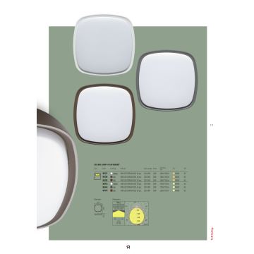 Redo 9539 - LED Lauko lubinis šviestuvas TWILL LED/20W/230V IP65