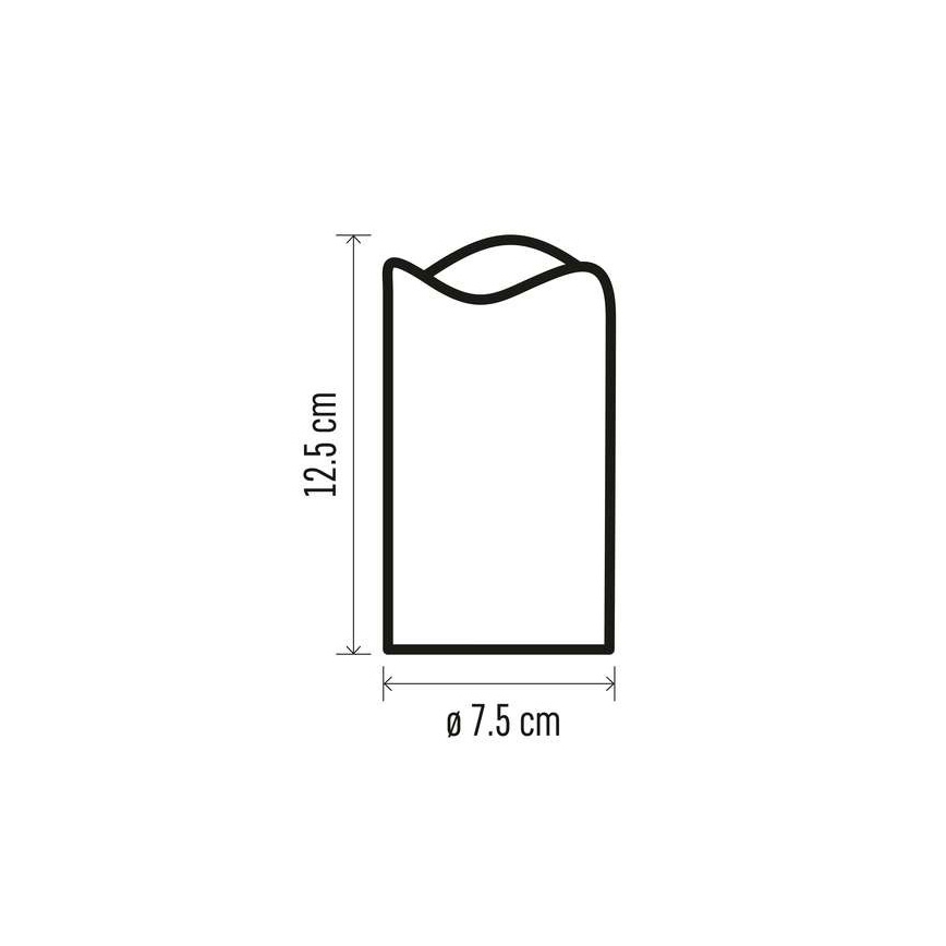 RINKINYS 2x LED Kalėdinė dekoracija 2xLED/2x2AA + valdymo pultas