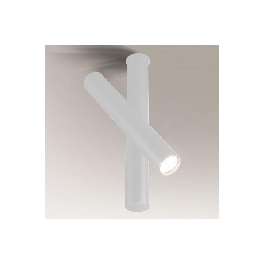 Shilo - Akcentinis šviestuvas 1xGU10-MR11/15W/230V baltas