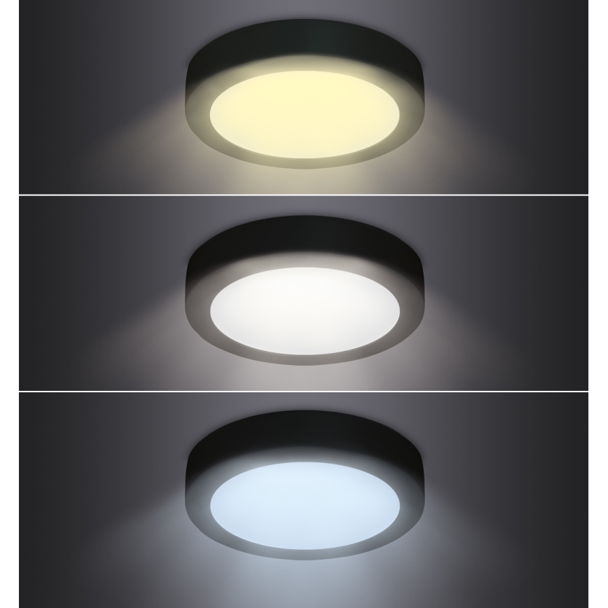 LED Lubinis šviestuvas LED/18W/230V 3000/4000/6000K juodas apvalus