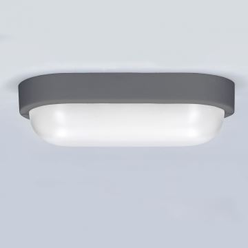 LED sieninis lauko šviestuvas LED/13W/230V 4000K IP54 pilka ovalas