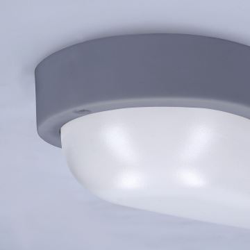LED sieninis lauko šviestuvas LED/13W/230V 4000K IP54 pilka ovalas