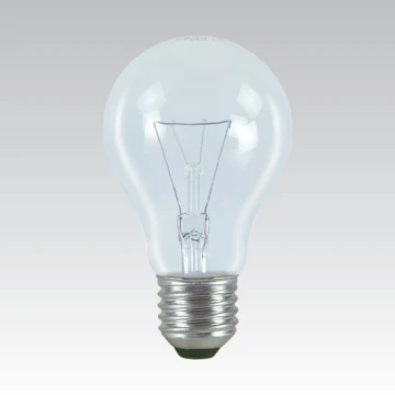 Specialios paskirties didelio našumo lemputė E27/100W/24V