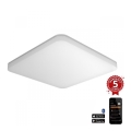 Steinel - LED Pritemdomas lubinis šviestuvas su jutikliu RSPROR30QBASICSC 23,26W/230V IP40 3000K