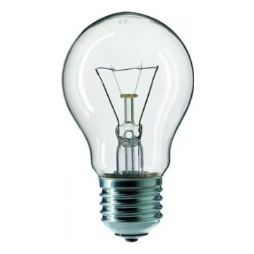 Sunkios apkrovos elektros lemputė CLEAR E27/40W/240V