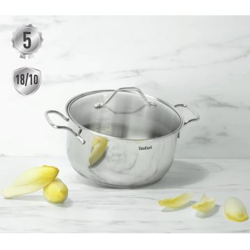 Tefal - Puodas su dangteliu INTUITION 22 cm