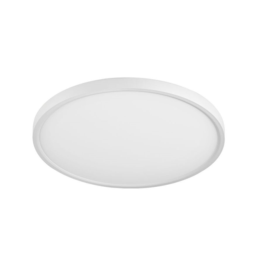 Top Light - LED Reguliuojamas lubinis šviestuvas LED/36W/230V 3000-6500K + valdymo pultas