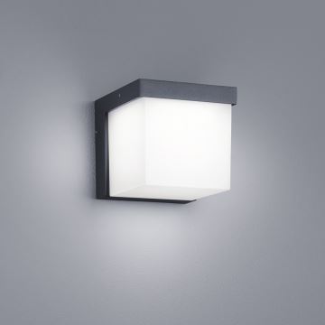 Trio - LED sieninis lauko šviestuvas YANGTZE LED/4,5W/230V IP54 3000K