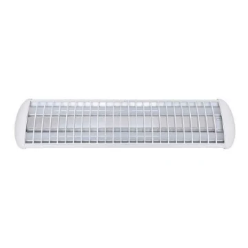 Voltolux - LED Liuminescencinis šviestuvas MODERN 2xLED/12W/230V