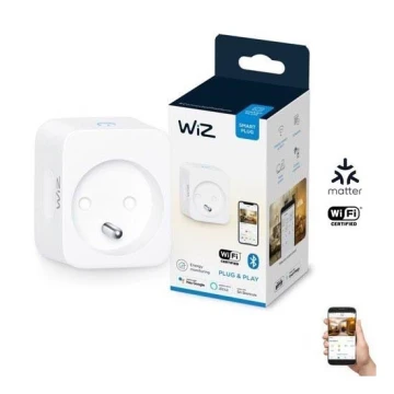 WiZ - Išmanusis lizdas E 2300W + galios matuoklis Wi-Fi
