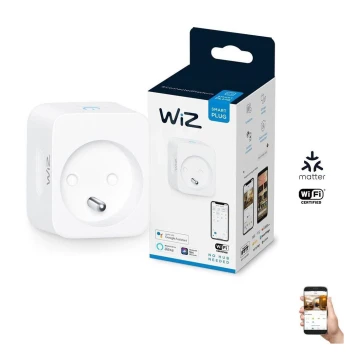 WiZ - Išmanusis lizdas E 2300W Wi-Fi